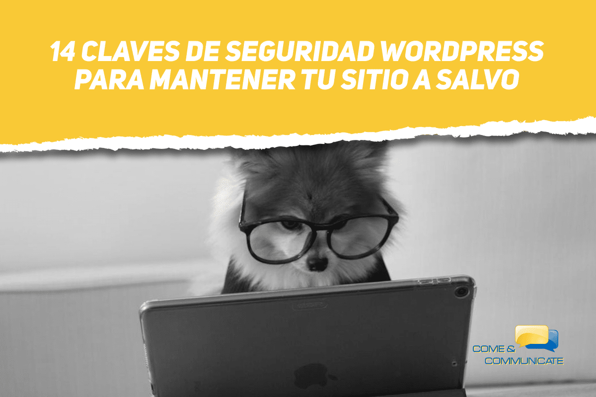 Perro con gafas trabajando con su ordenador